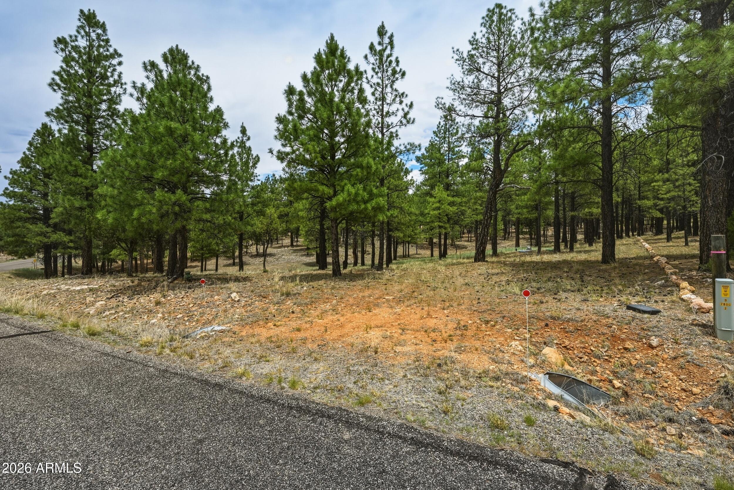 STARLIGHT PINES 4 PHASE 2 - Land