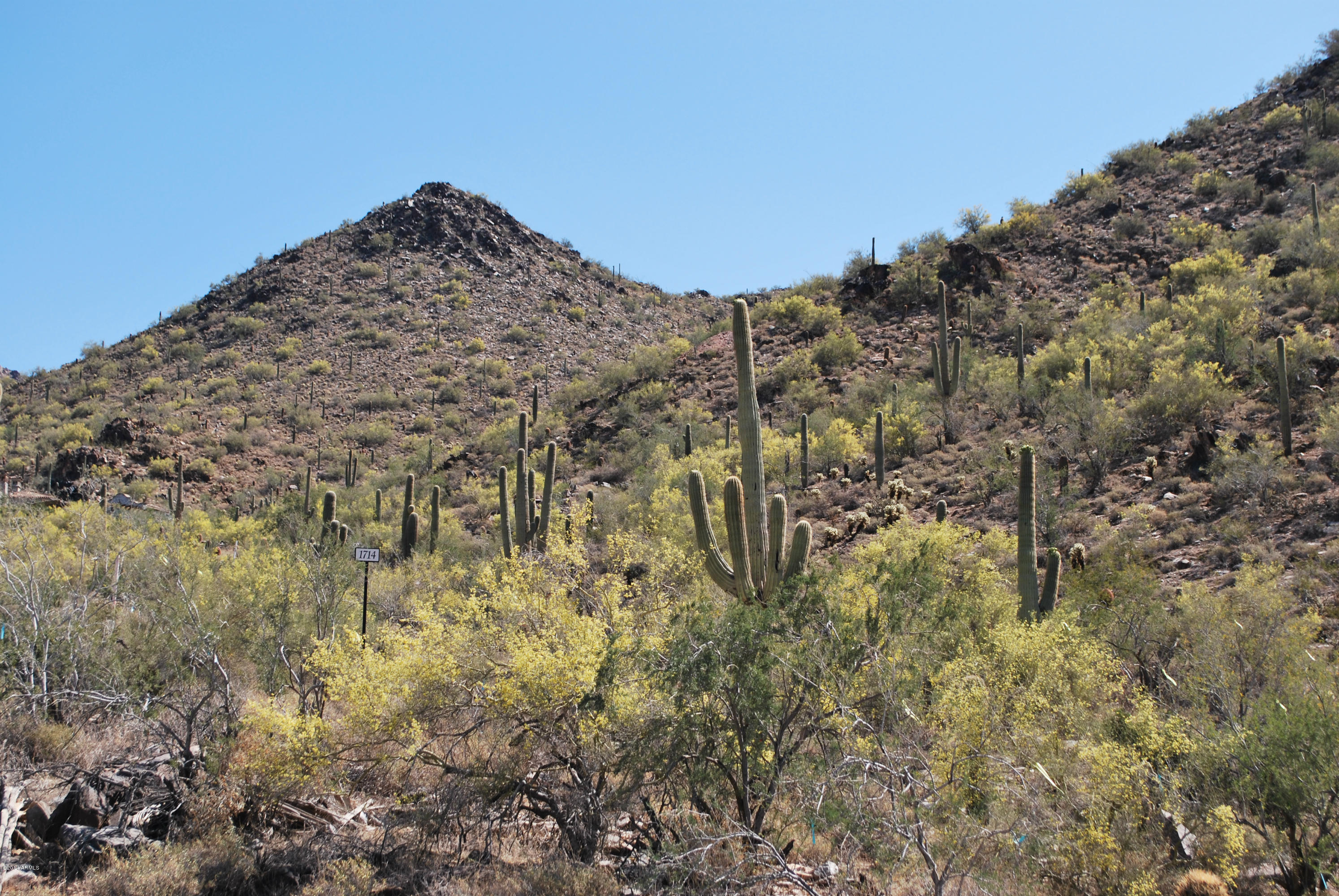 Silverleaf at DC Ranch - Residential
