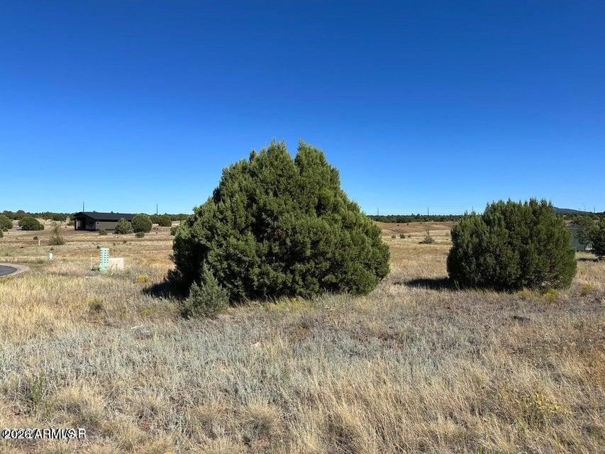 SHOW LOW BLUFF PHASE 1B - Land