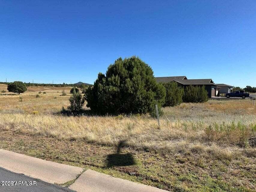 SHOW LOW BLUFF PHASE 1B - Land