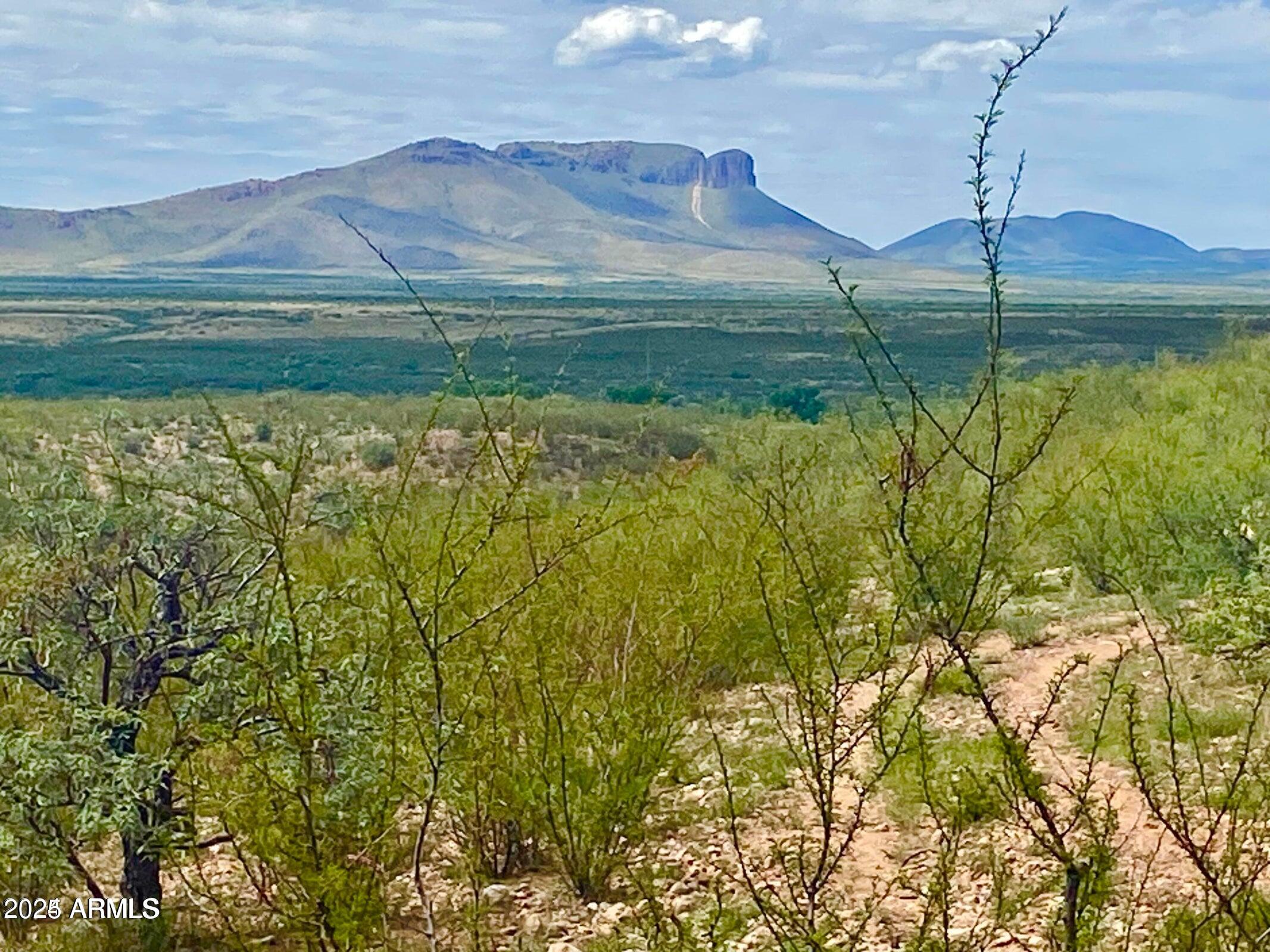 Lazy DS Ranch Estates - Land