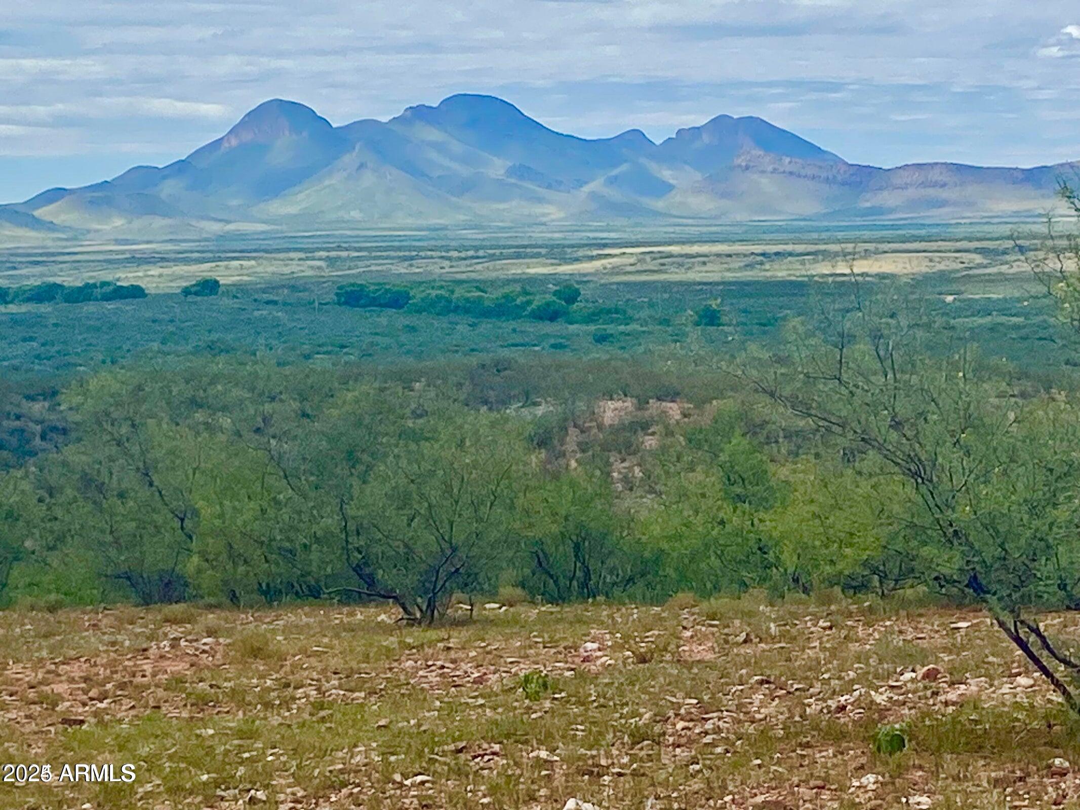 **OWNER CARRY** $3,393 Down Payment and $447.31 monthly payment.  From this 8 plus acres, you have stunning 360-degree views from the center of the lot. Build your dream home or ranch.... the choice is yours. Electric is within 300 feet and water would be hauled, delivered, or you can drill a well. Recently surveyed. Survey in documents.