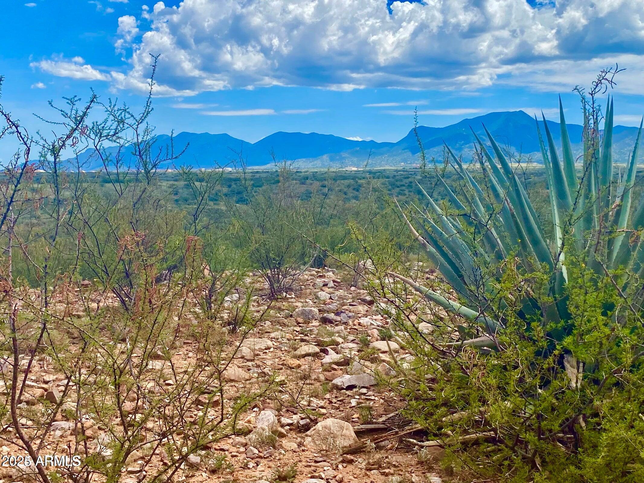 Lazy DS Ranch Estates - Land