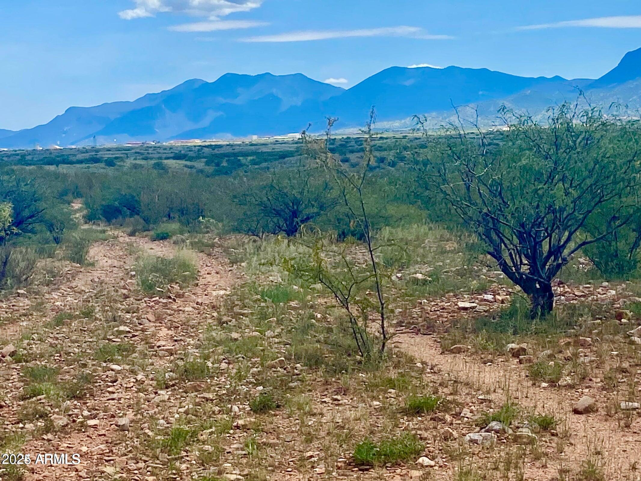 Lazy DS Ranch Estates - Land