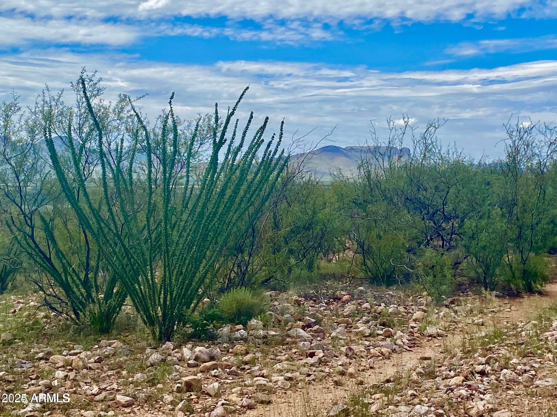 Lazy DS Ranch Estates - Land