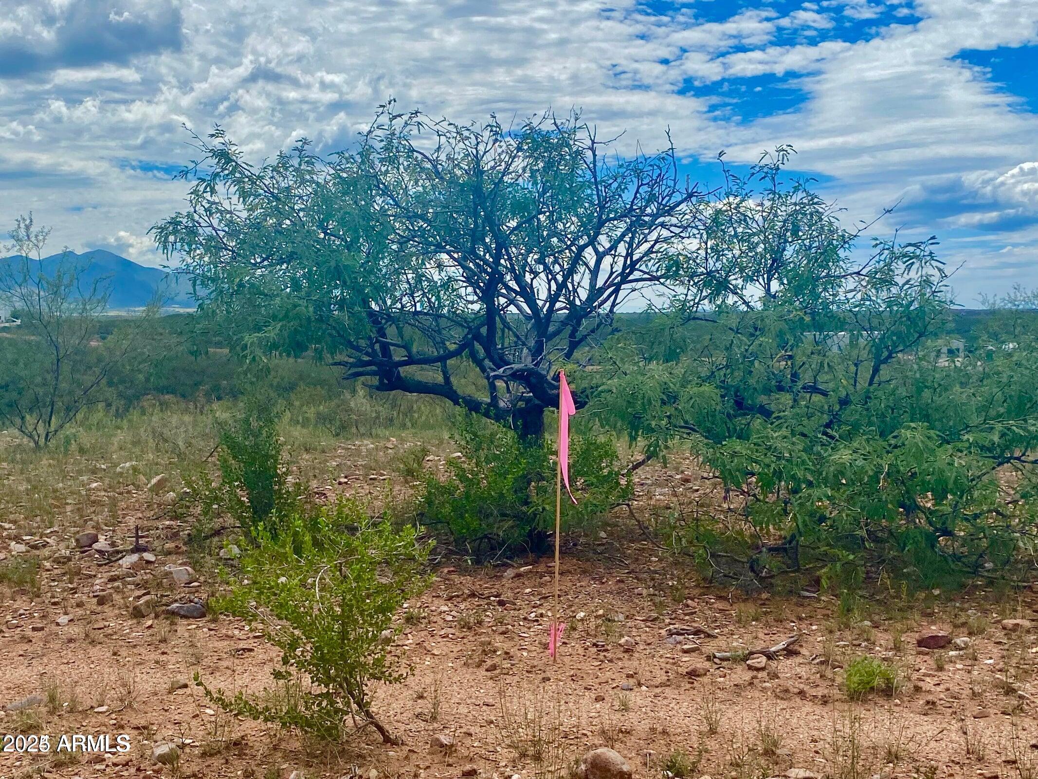 Lazy DS Ranch Estates - Land