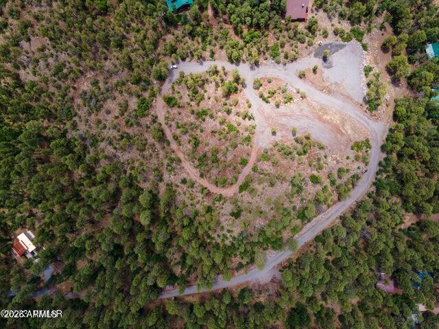 Pinetop Unsubdivided - Land