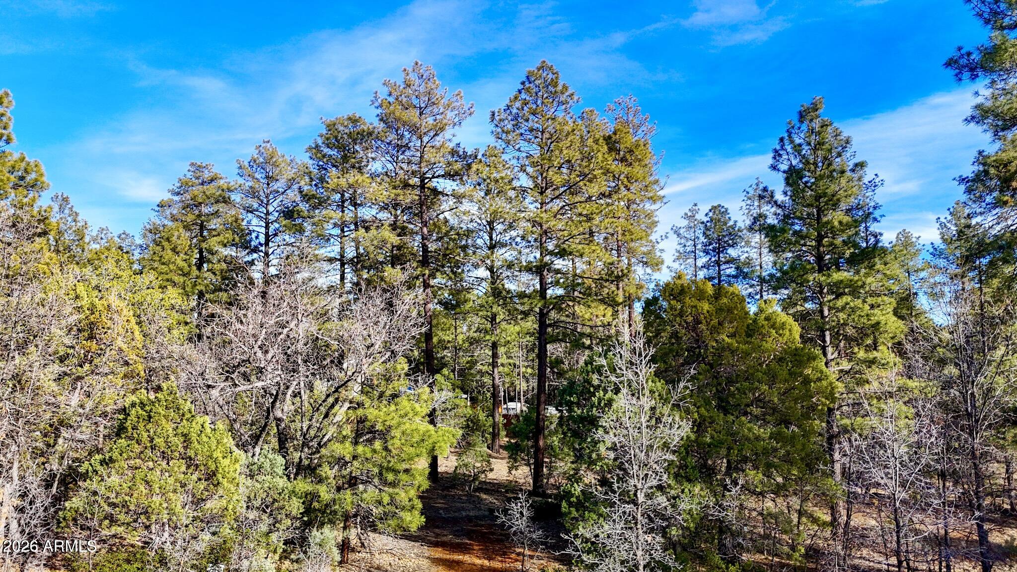Starlight Ridge Estates - Land