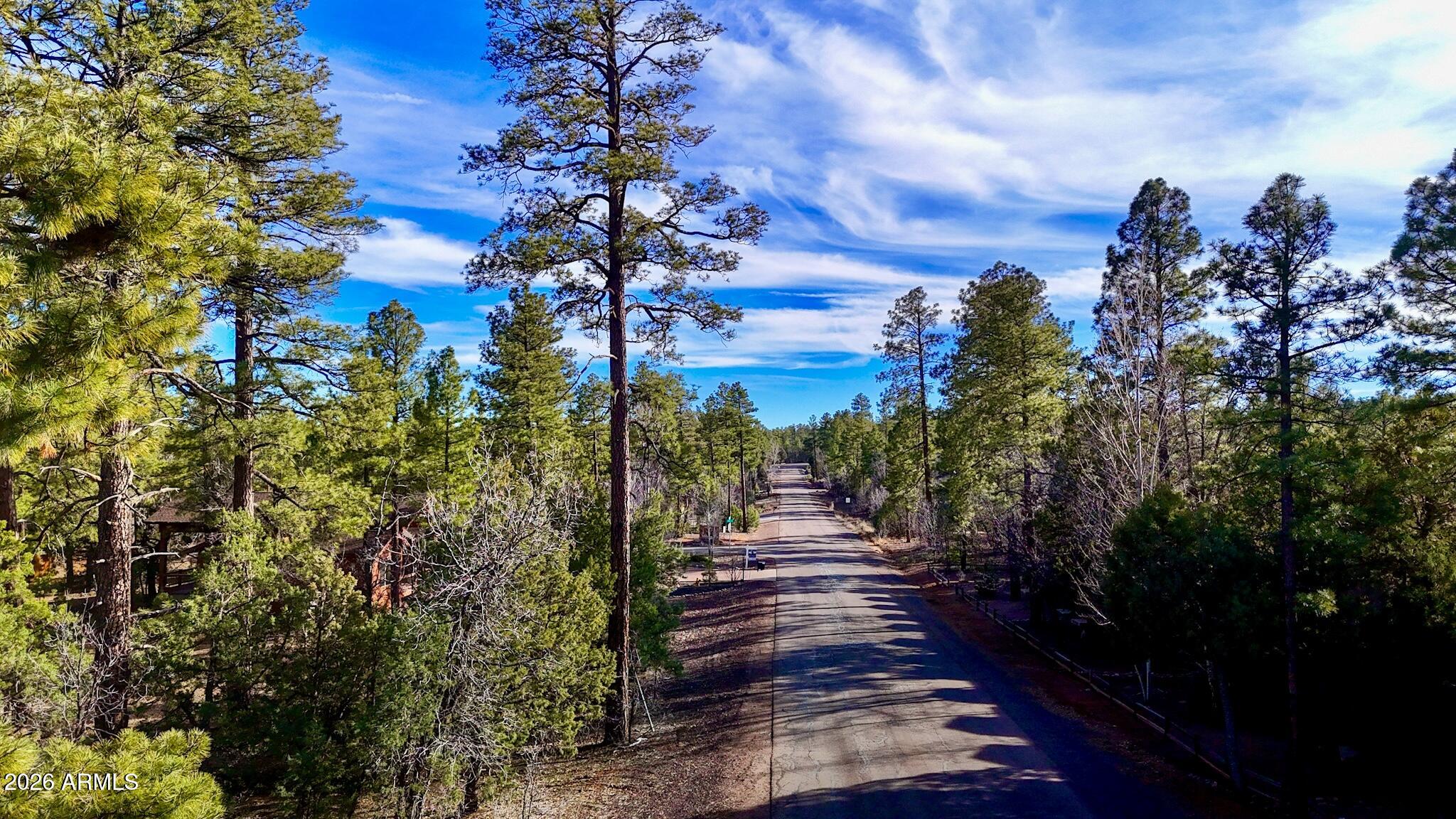 This beautiful level lot thick with tall pines is ready for your new site build home with water, power, sewer and natural gas all at the lot line. Starlight Ridge is located in the Wagon Wheel area of Pinetop/Lakeside with amities such as Summit Hospital, WalMart, Home Depot and many dining choices located within 2 miles, yet is still private with hundreds of acres of BLM and State Forest Land to explore just one mile to the West. Come see this property for yourself!