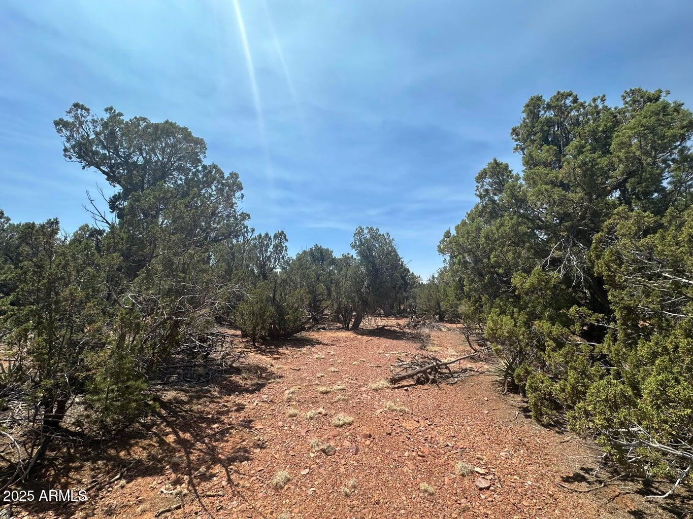 If you are looking for peace and quiet close to town here it is! Horses welcome! No restrictions, bring your RV and camp while you are moving in your manufactured home or building your dream home!
Make an offer seller is OPEN to offers!
this property is located about 13 miles outside of Heber, AZ, off Highway 260 towards Show Low elevation is 6427 Feet Owner may carry with $25,00 down 4-5 years.