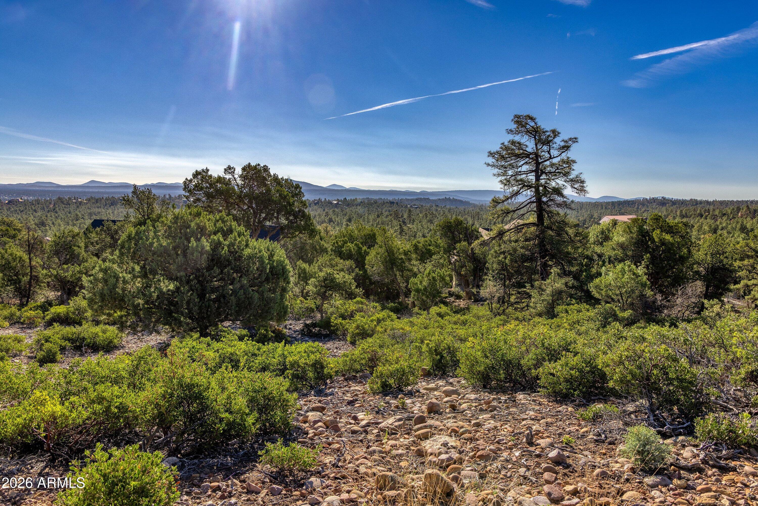 Build your mountain retreat on one of the premier lots in Sierra Pines. Set on a quiet dead-end street, this exceptional homesite offers stunning views, mature trees, and the privacy and tranquility of a beautifully wooded community. Conveniently located just a short drive from shopping, amenities, and recreation, it's the perfect setting to create your mountain escape.