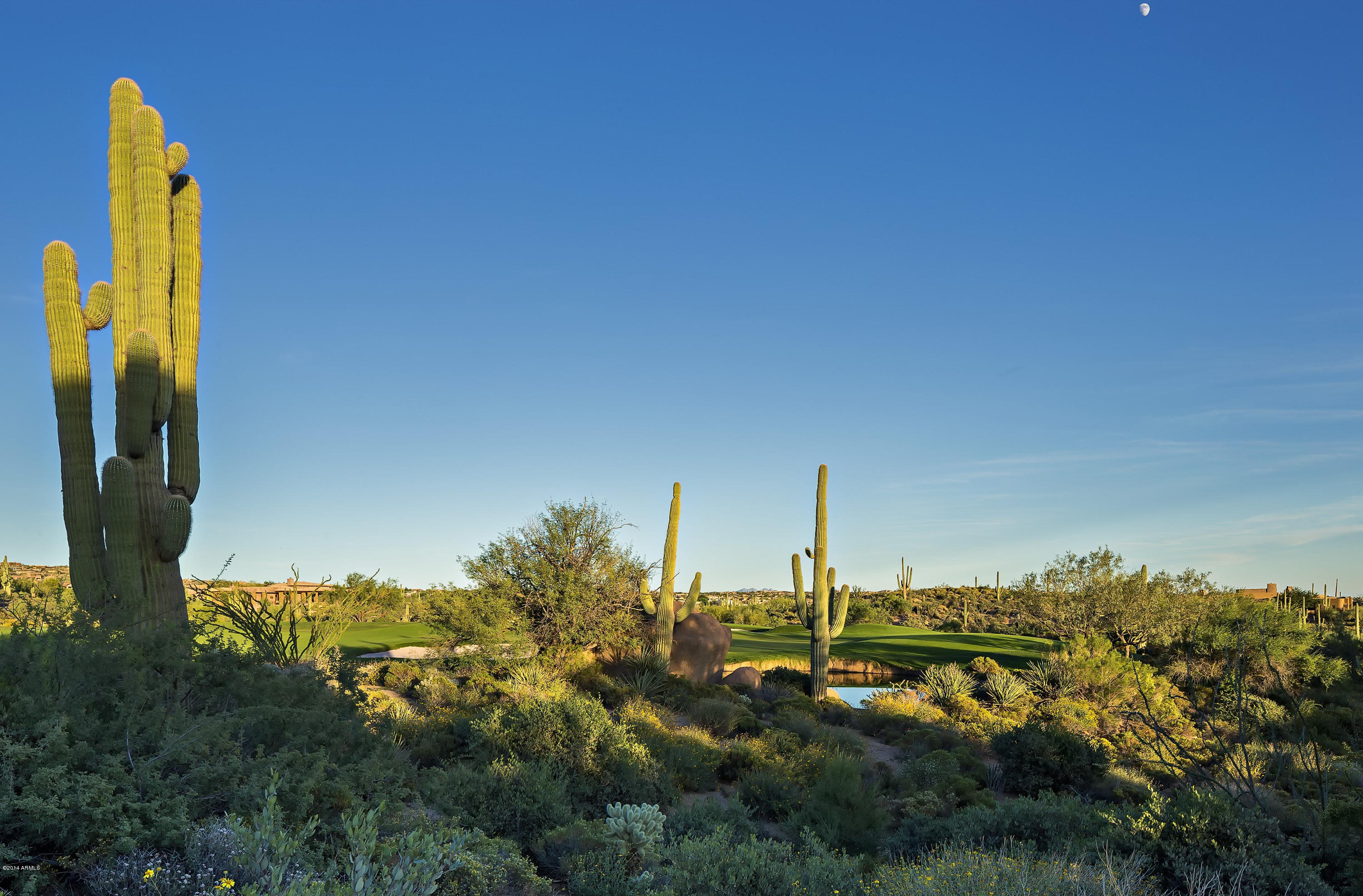 Desert Mountain - Residential