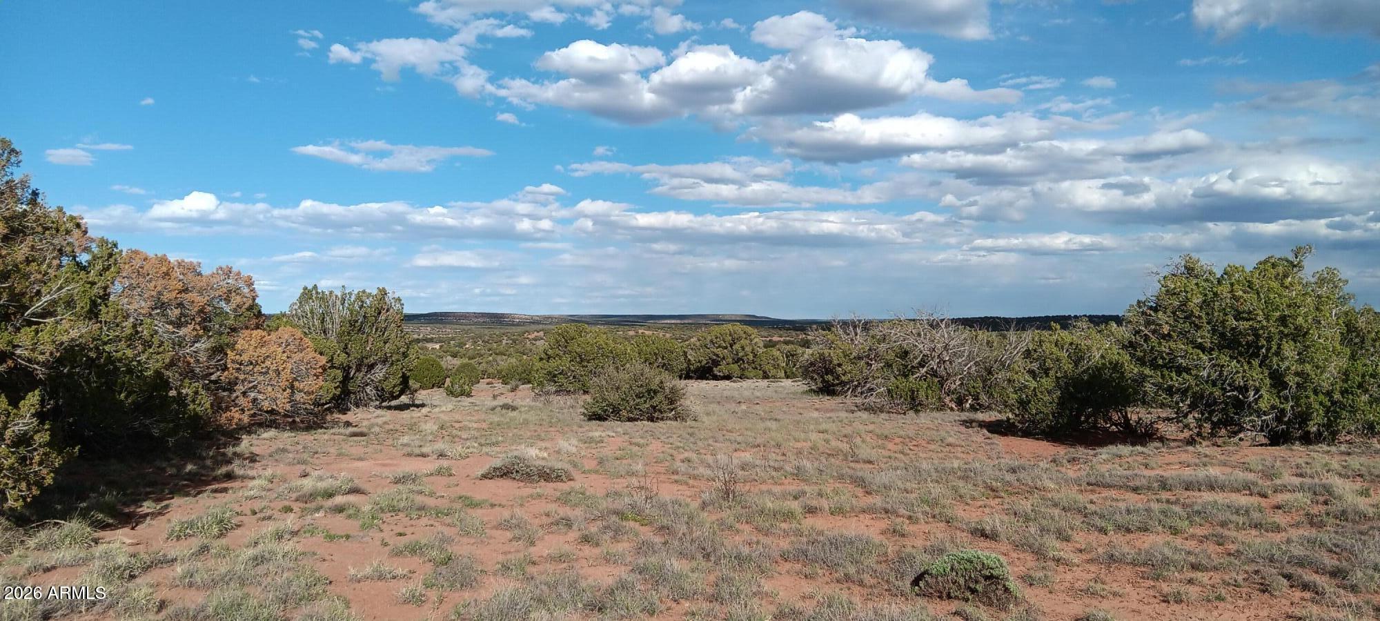 IDLEWILD RANCH - Land