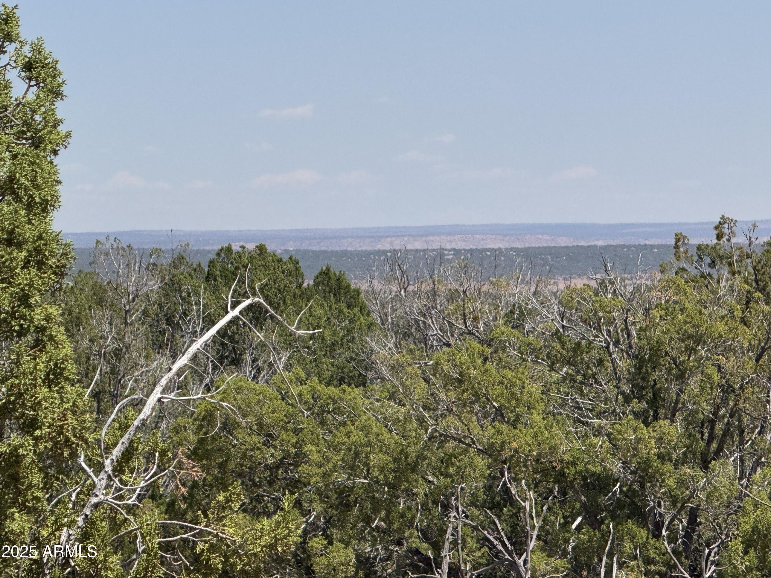 NEWLY REDUCED BY $10,000! Escape to your own 42-acre sanctuary in the beautiful high country of Northern Arizona, where rolling juniper-covered terrain, endless horizons, and peaceful solitude create the perfect setting for your dream retreat. One of the property's most valuable improvements is already in place--a private water well drilled to 180 feet in 2003, with a static water level of 136 feet. While the well is not currently operational and requires a pump and related equipment, a local well driller has estimated its replacement value at approximately $25,000 based on the Arizona Department of Water Resources well report, meaning a substantial portion of the cost and effort has already been invested. A modest frame shed provides immediate utility as storage, a workshop, or a base camp while you bring your vision to life. Whether you envision an off-grid homestead, a secluded cabin, a recreational getaway, or simply a place to enjoy nature on your own terms, this property offers the space and freedom to make it happen. Explore your own land, enjoy incredible stargazing under dark Arizona skies, watch wildlife, and wake each morning to spectacular sunrises and crisp mountain air scented with juniper. Annual POA dues of just $184 help ensure the roads receive periodic maintenance, providing reliable access year-round while preserving the area's quiet rural character. With a $10,000 price reduction, an existing well already drilled, and 42 acres of Arizona beauty waiting to be explored, this is an exceptional opportunity to own a property that combines privacy, value, and adventure.