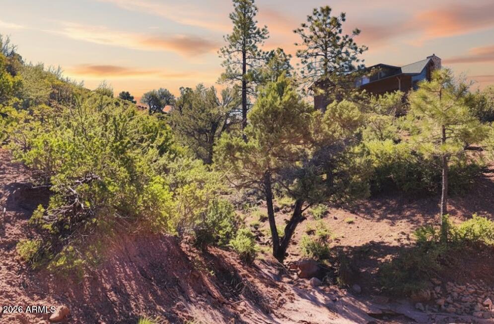 SOLITUDE TRAILS 3 - Land