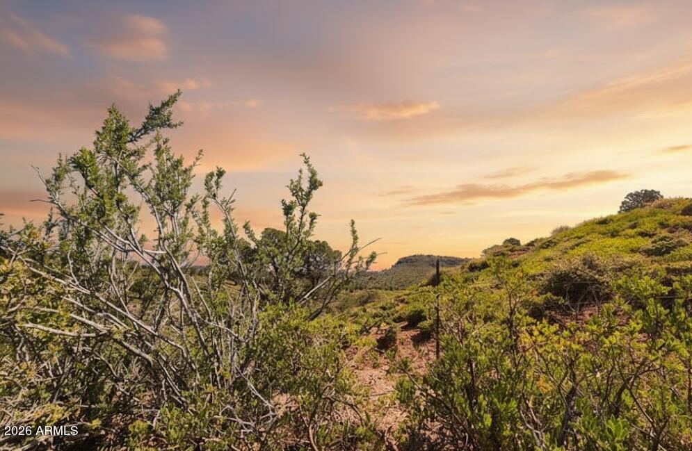 SOLITUDE TRAILS 3 - Land