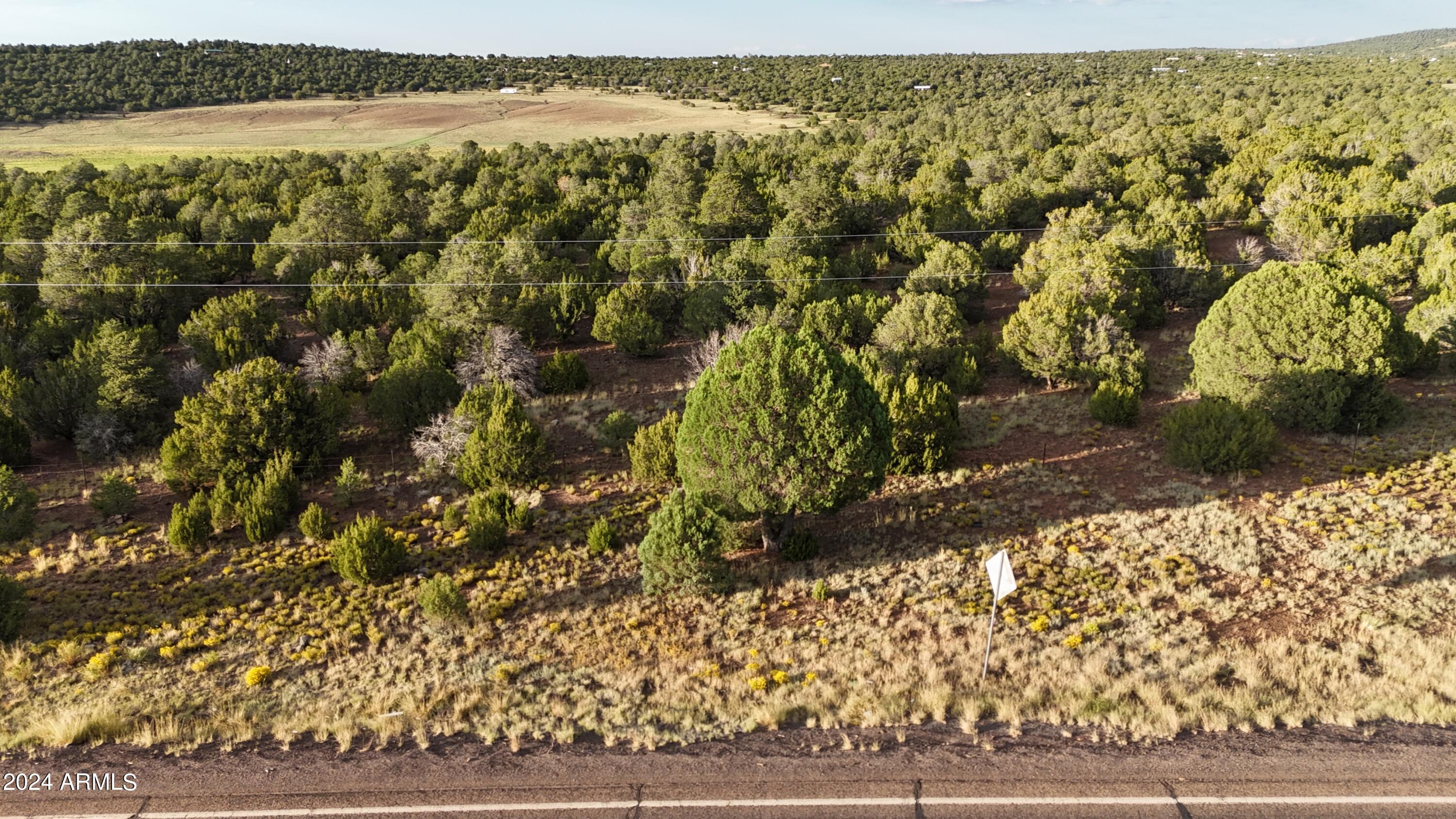 Large lot that could be residential or commercial buyer to confirm. Buyer to determine costs with acquiring access to US-60 from ADOT. Beautiful lot with tall mature pines in a great location. Large containment basin at NW corner of lot that has seasonal water. A strategically placed home may have 360 views, heavily treed with tall pinon pines and junipers. Seller is a licensed realtor in Arizona. 4wd is recommended, a few rocks on 3321, do not take hwy 60 to 3320 it is extremely rocky. There is a sign on the 60 but no access there.
