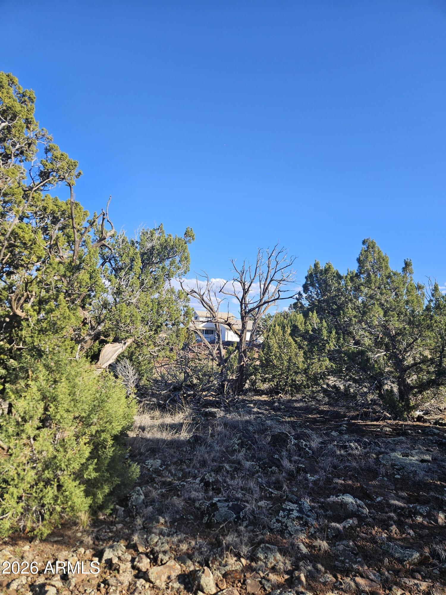 Beautiful mountain lot ready for your manufactured or site built home with private lake access. Enjoy
clear skies and starry nights. Fishing, boating and swimming are within walking distance. Come make your dreams come true.