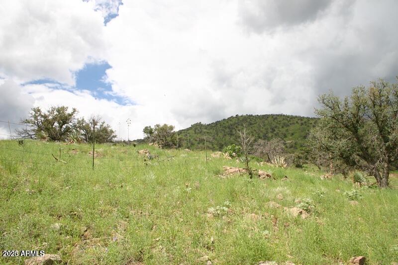 This gently sloping land is ideal for a walk out lower level or multi level home to capture the dynamics of the terrain. Open ranch land to the east and National Forest to the south allow for unobstructed awesome views.  Dotted with a few trees and natural grasses, it becomes a green oasis during the monsoon rains.  No HOA and on a road to nowhere (except your neighbors homes), this location offers dark skies for star gazers, plenty of local wildlife and birds for watching, yet is within a 15 minute drive to shopping, schools and medical facilities. .A dollar store, the post office and a medical clinic are 5 minutes away.