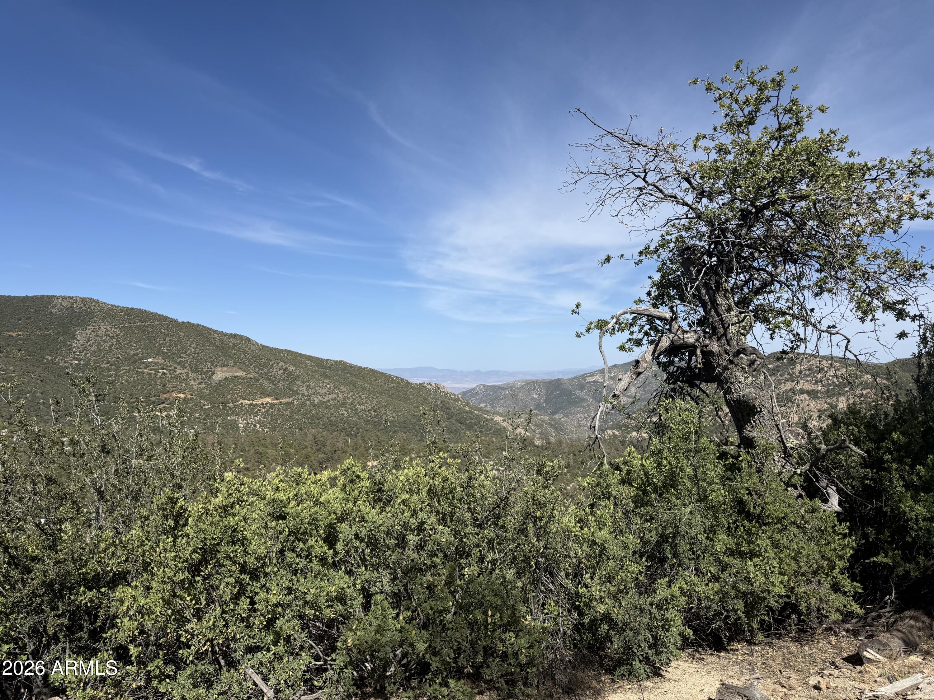 Build your own custom Crown King cabin high above town. This secluded parcel offers vast mountain views, and electric nearby. Complete with year round access and bordering Prescott National Forest! Scattered pines, oak trees, juniper trees, & manzanita bushes give this lot even more character. Road to property is rough, may require a 4-wheel drive. Seller may be willing to carry. This parcel has some of the best views in Crown King. See all the way to the valley floor out in the distance. Quiet area located above the Crown King Acres subdivision, this definitely feels far from ordinary!