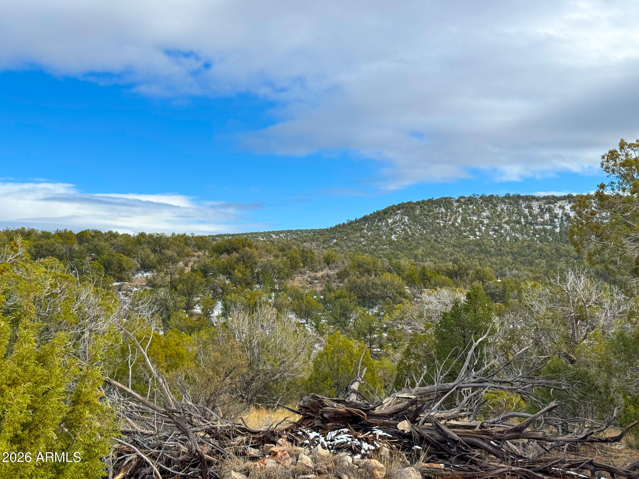 SIERRA VERDE RANCH UNIT 33 - Land