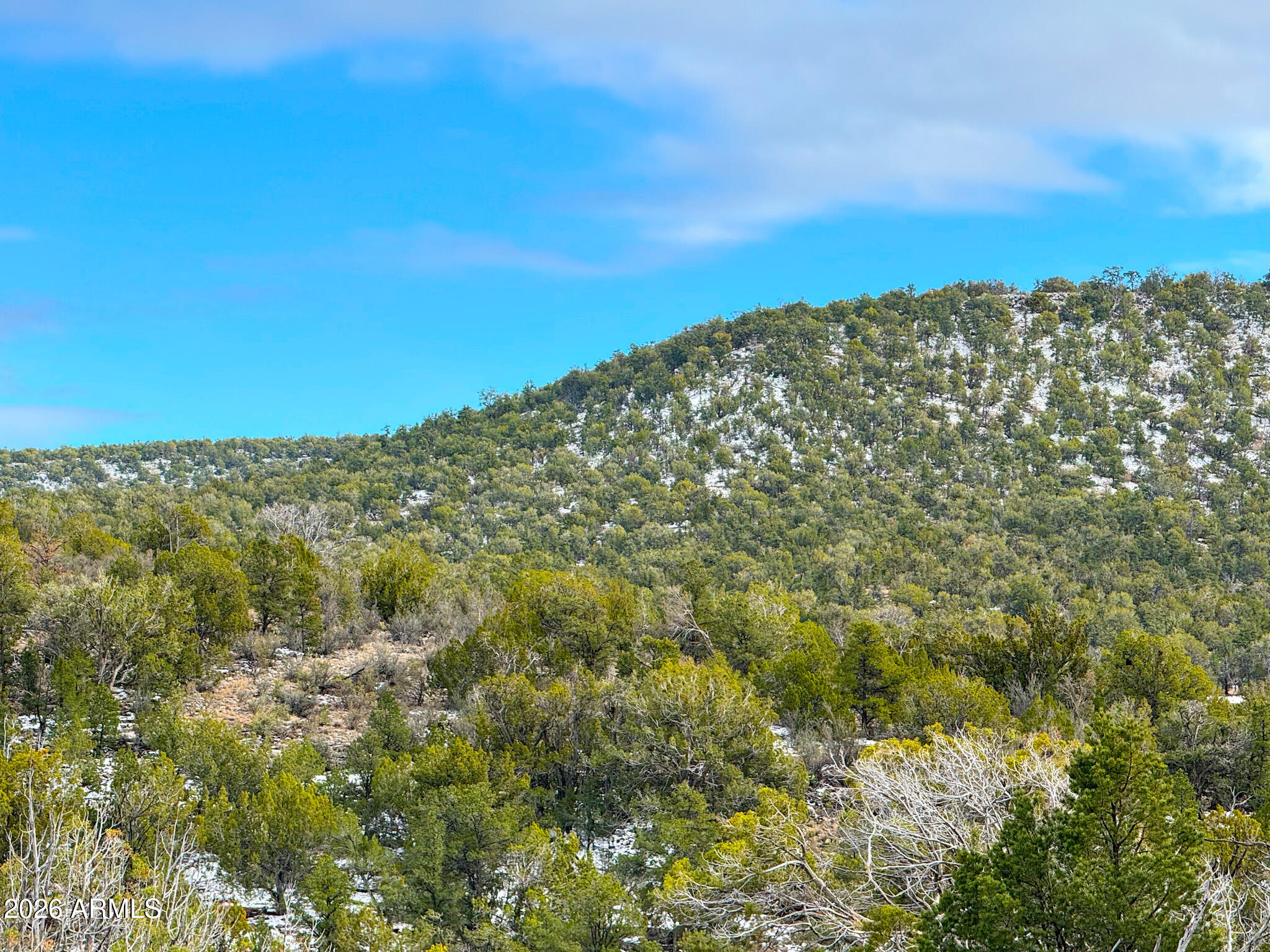 SIERRA VERDE RANCH UNIT 33 - Land