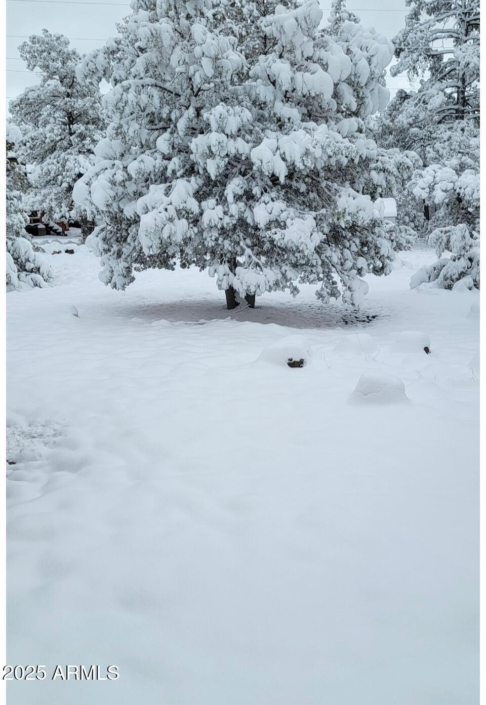 Buckskin Acres - Residential