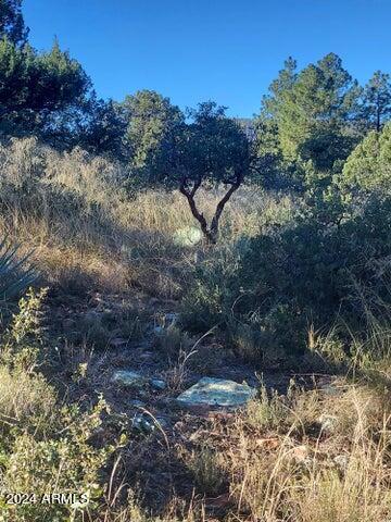 PORTAL PINE CREEK CANYON 2 - Land