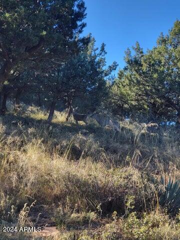 PORTAL PINE CREEK CANYON 2 - Land