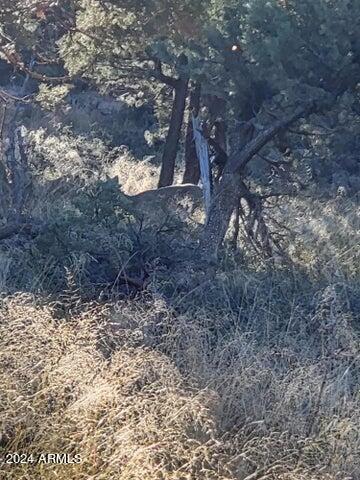 PORTAL PINE CREEK CANYON 2 - Land