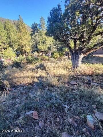 PORTAL PINE CREEK CANYON 2 - Land