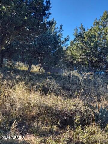 PORTAL PINE CREEK CANYON 2 - Land