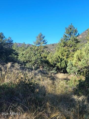 PORTAL PINE CREEK CANYON 2 - Land