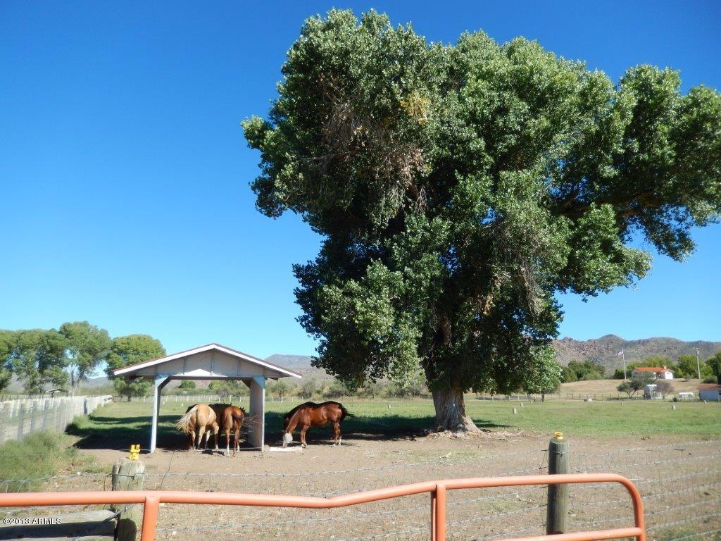 Kirkland Valley Ranch - Residential