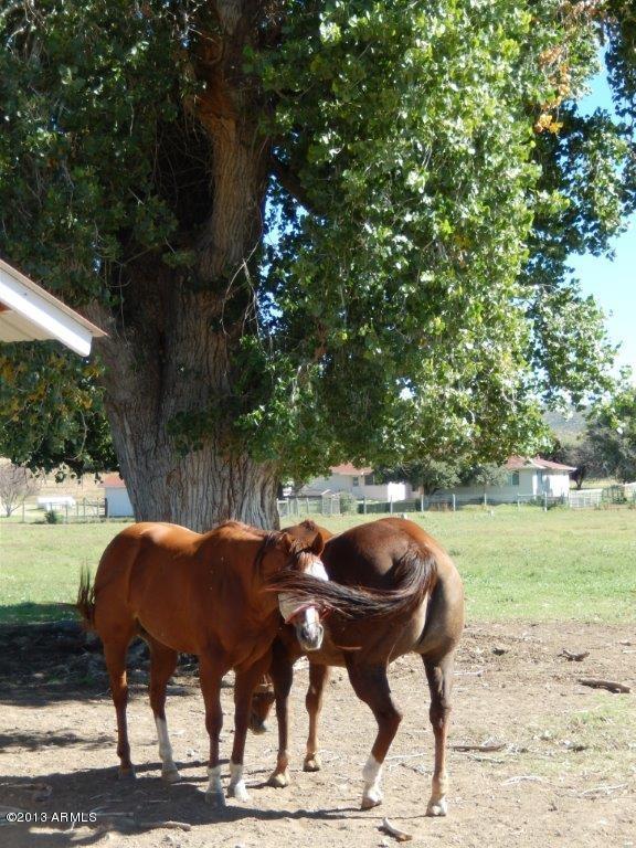 Kirkland Valley Ranch - Residential