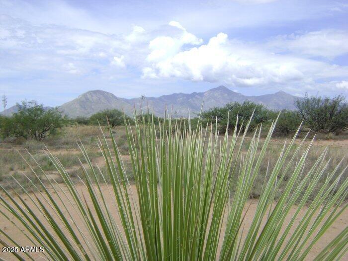 Rio Rancho Estates - Land