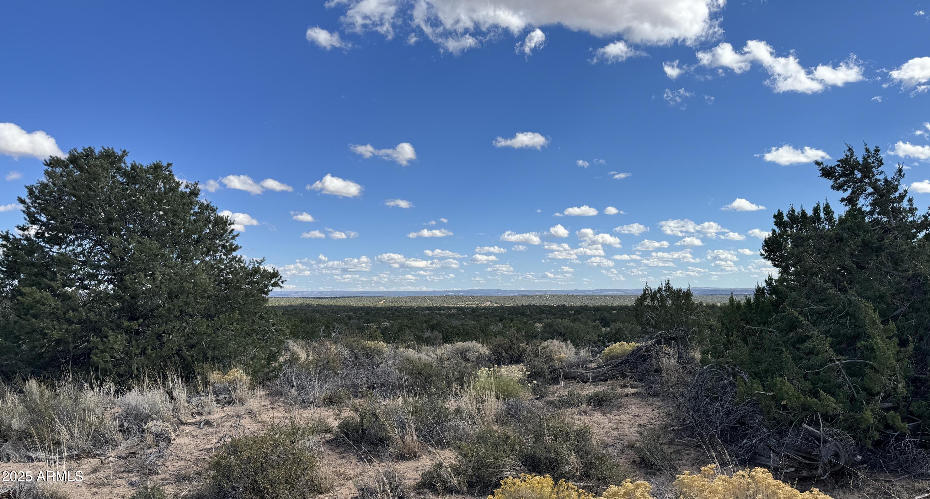 WITCH WELL RANCHES - Land