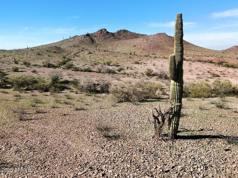 Scenic 10-acre parcel in Tonopah, Arizona offering wide-open space, privacy, and expansive desert and mountain views in the established Rockwell Ranch area of unincorporated Maricopa County. The property has legal and insurable access via a recorded 33-foot roadway easement and features gently rolling terrain with multiple potential build areas. Zoned RU-43 for rural residential use, with no HOA. Electric power runs nearby along the section boundary; properties in the area typically utilize private wells and septic systems. The parcel is subject to recorded Rockwell Ranch deed restrictions typical of the area. Convenient access to Salome Highway and located within Phoenix's westward growth corridor.