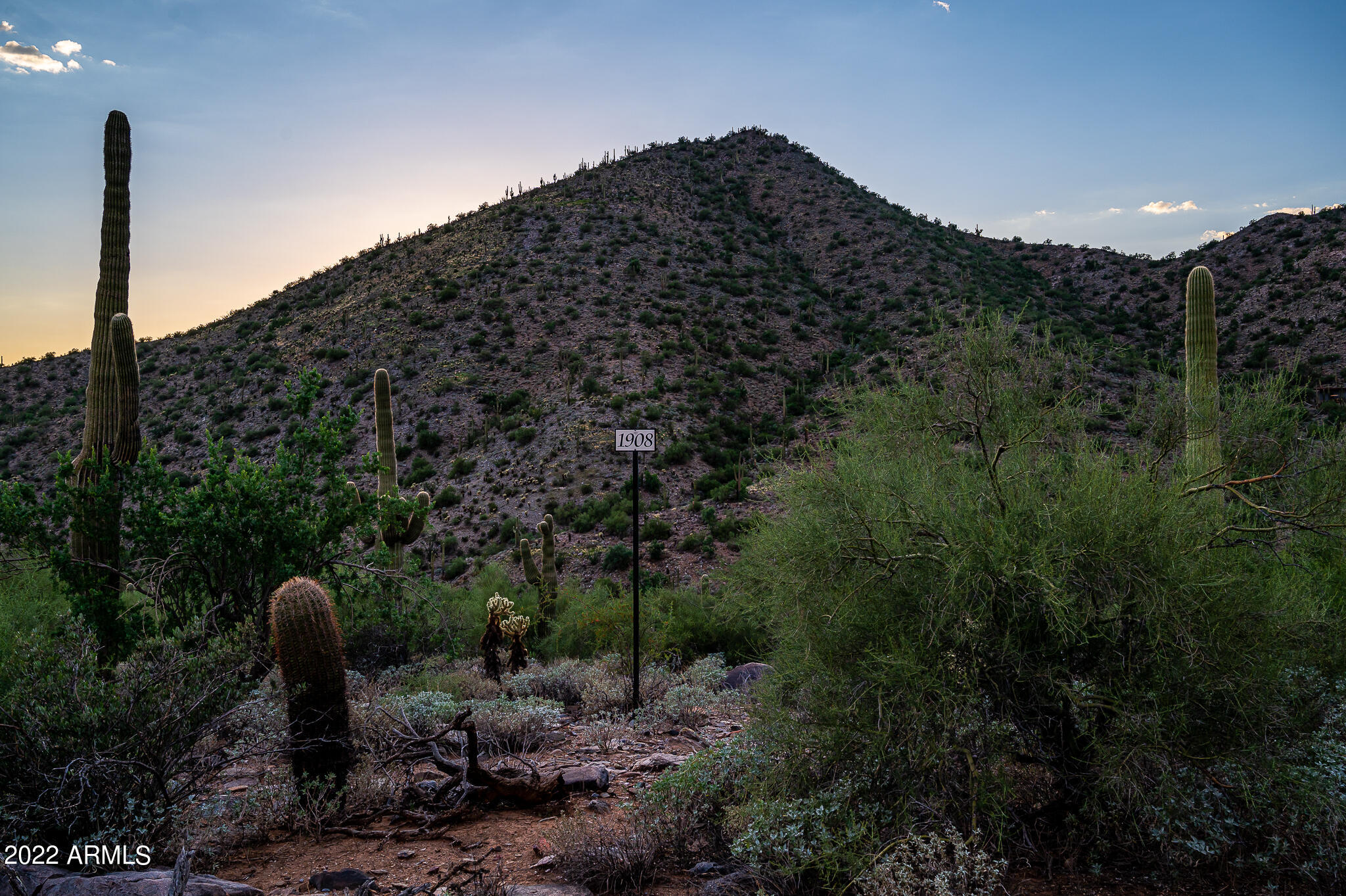 Silverleaf at DC Ranch - Land