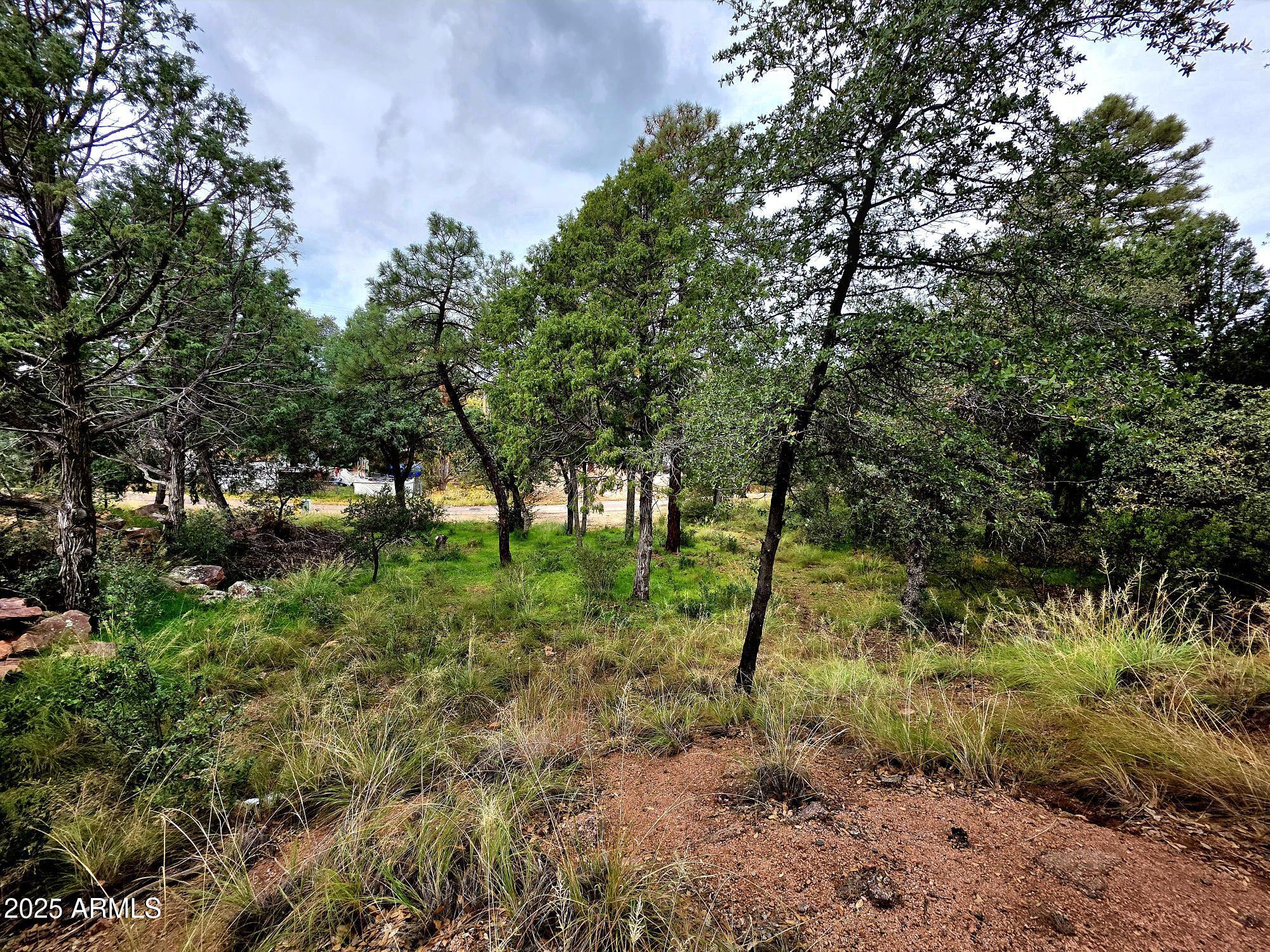 PAYSON NORTH 2 - Land