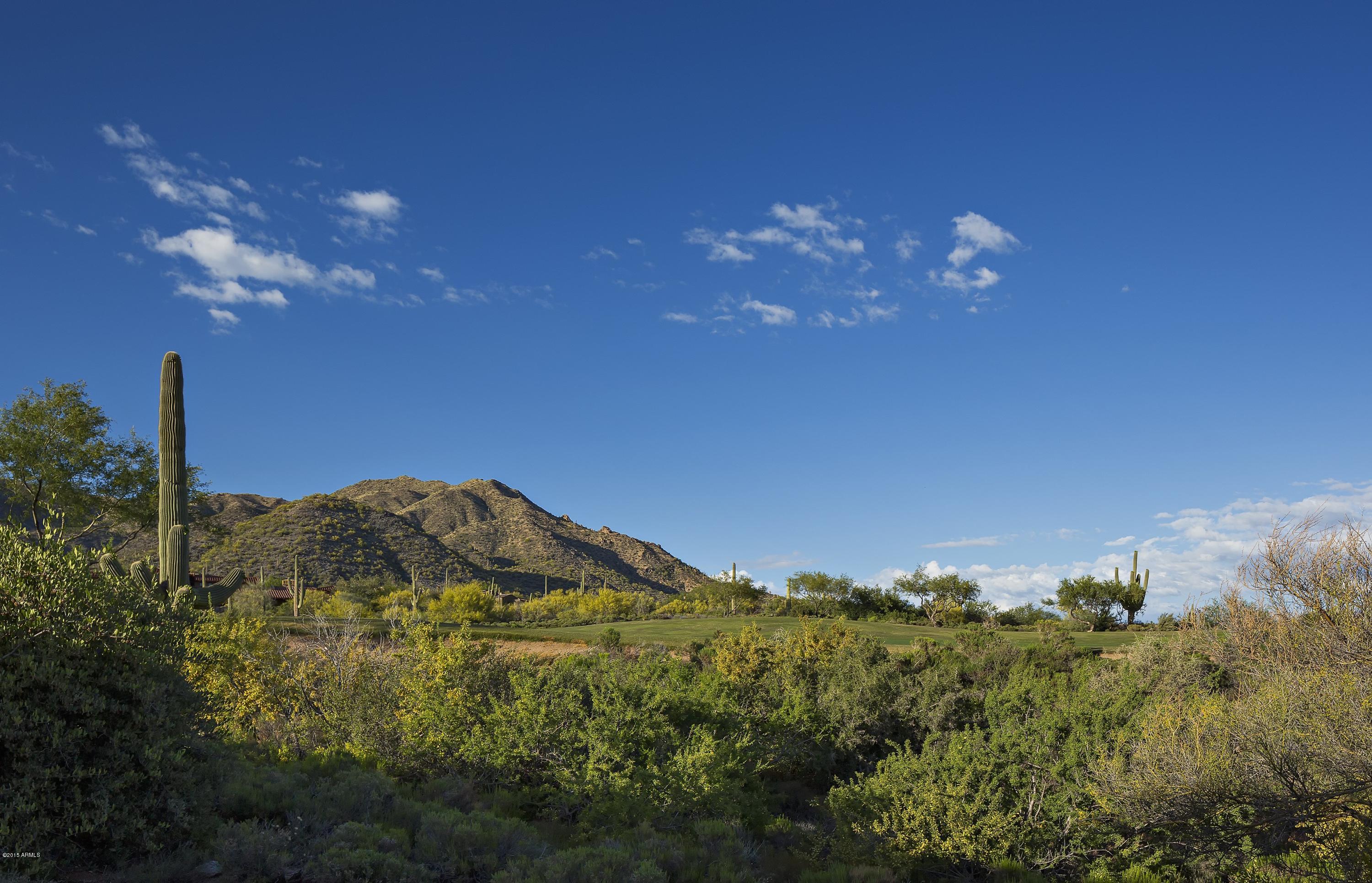 DESERT MOUNTAIN PHASE 3 UNIT 29 - Residential