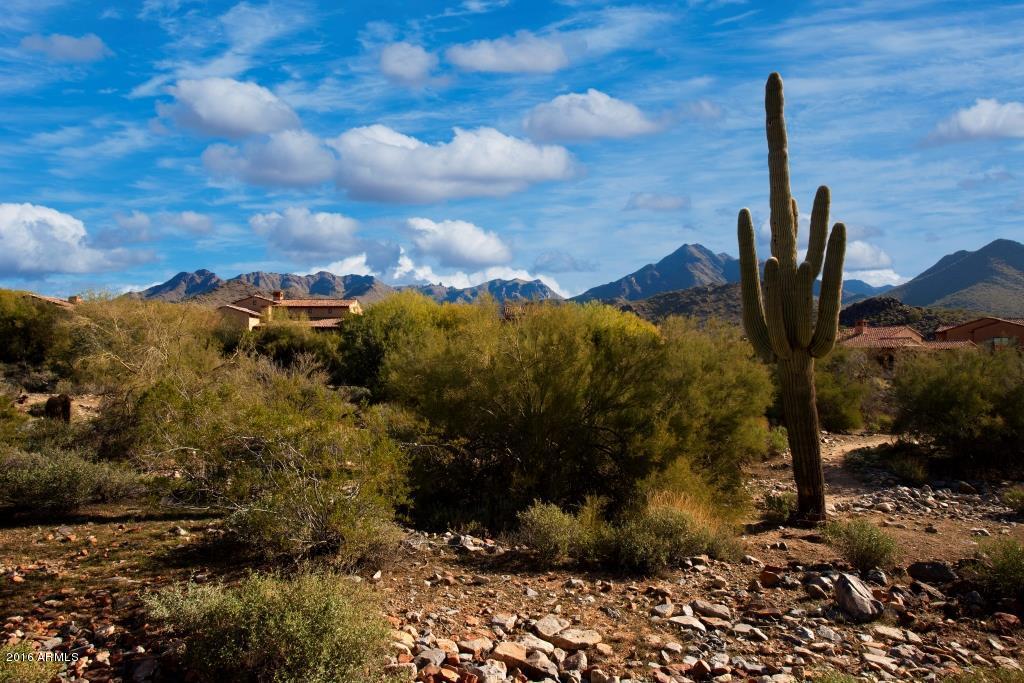 Silverleaf at DC Ranch - Residential