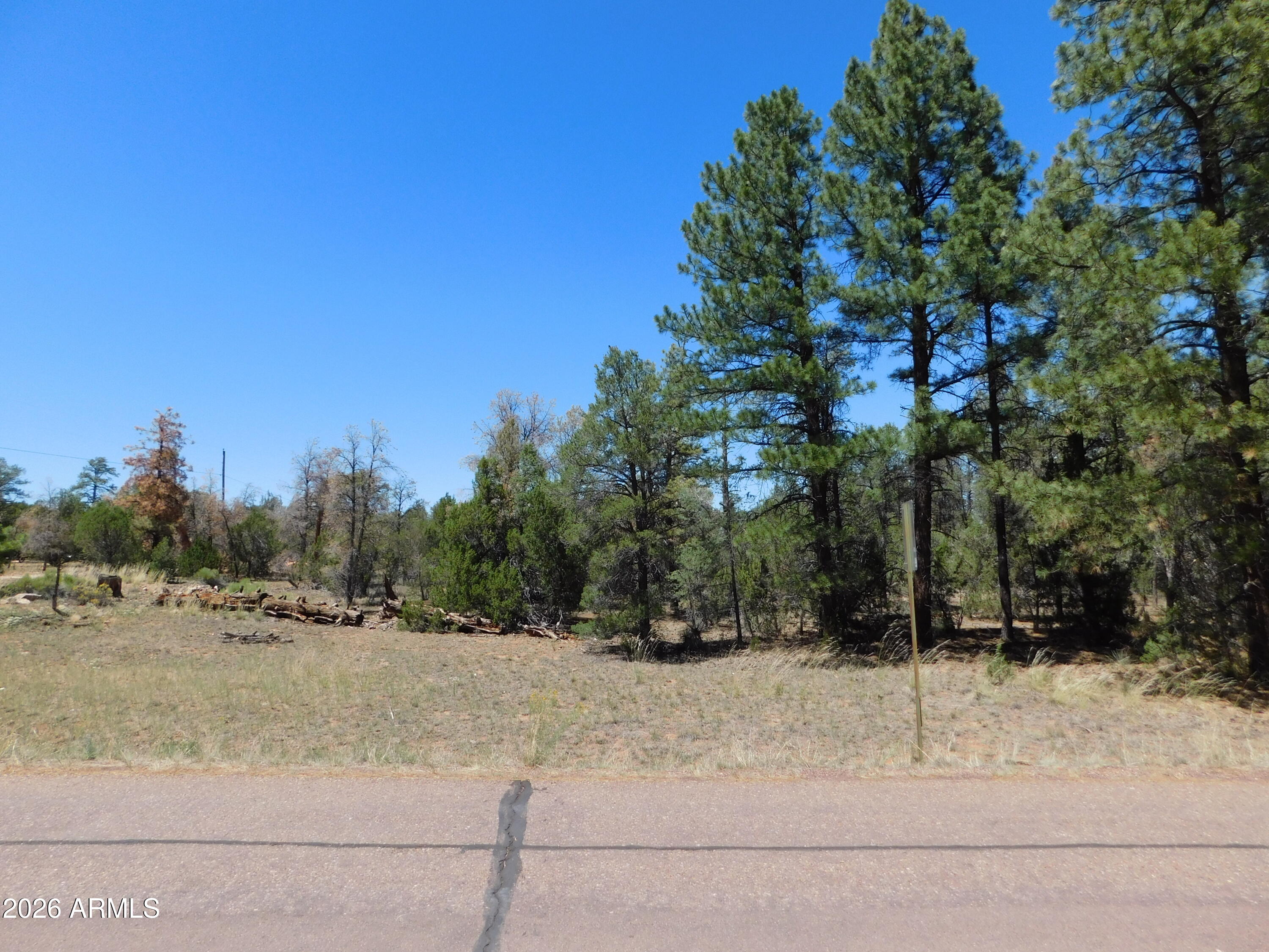 PINELAND ACRES - Land