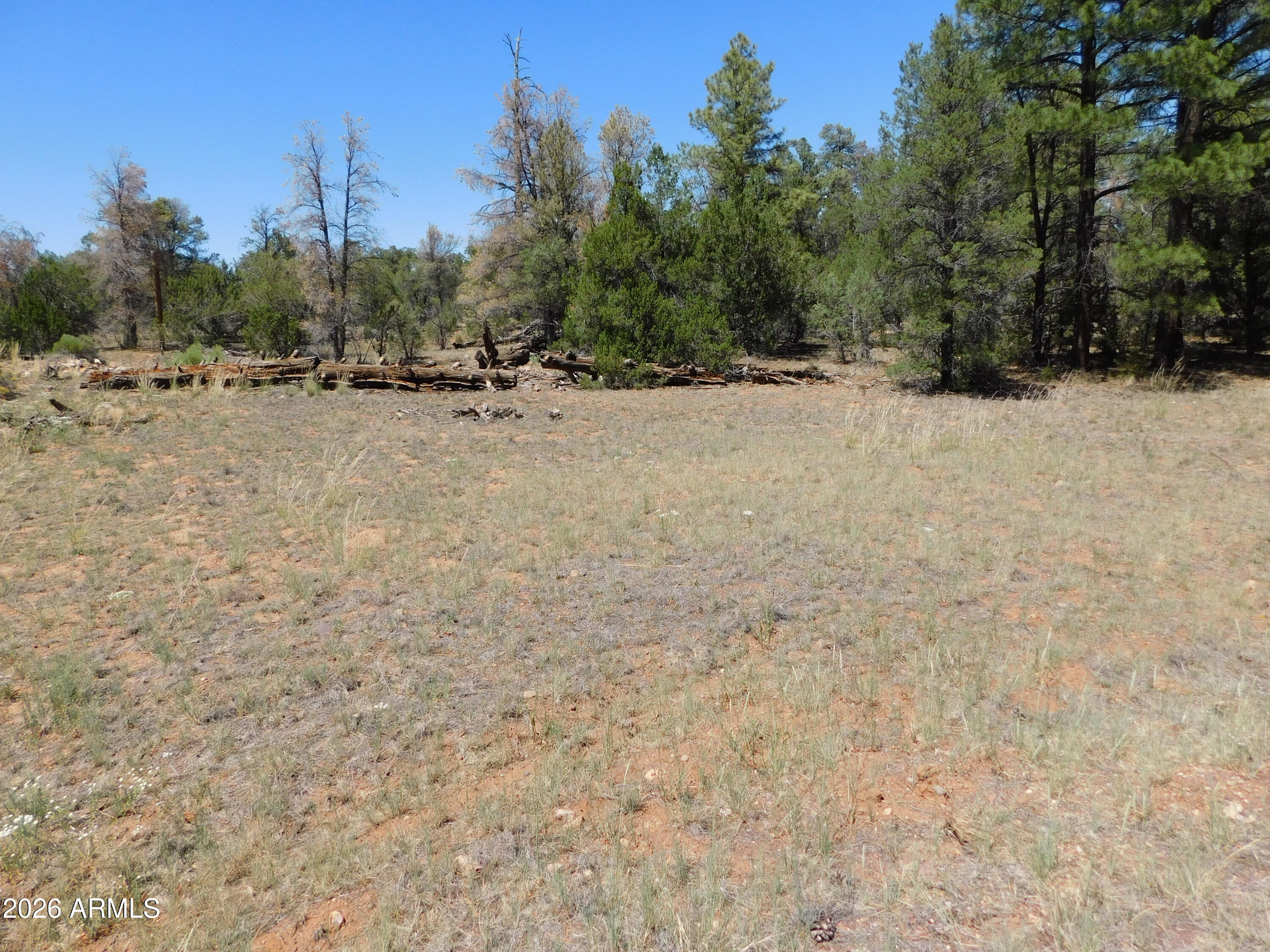 PINELAND ACRES - Land