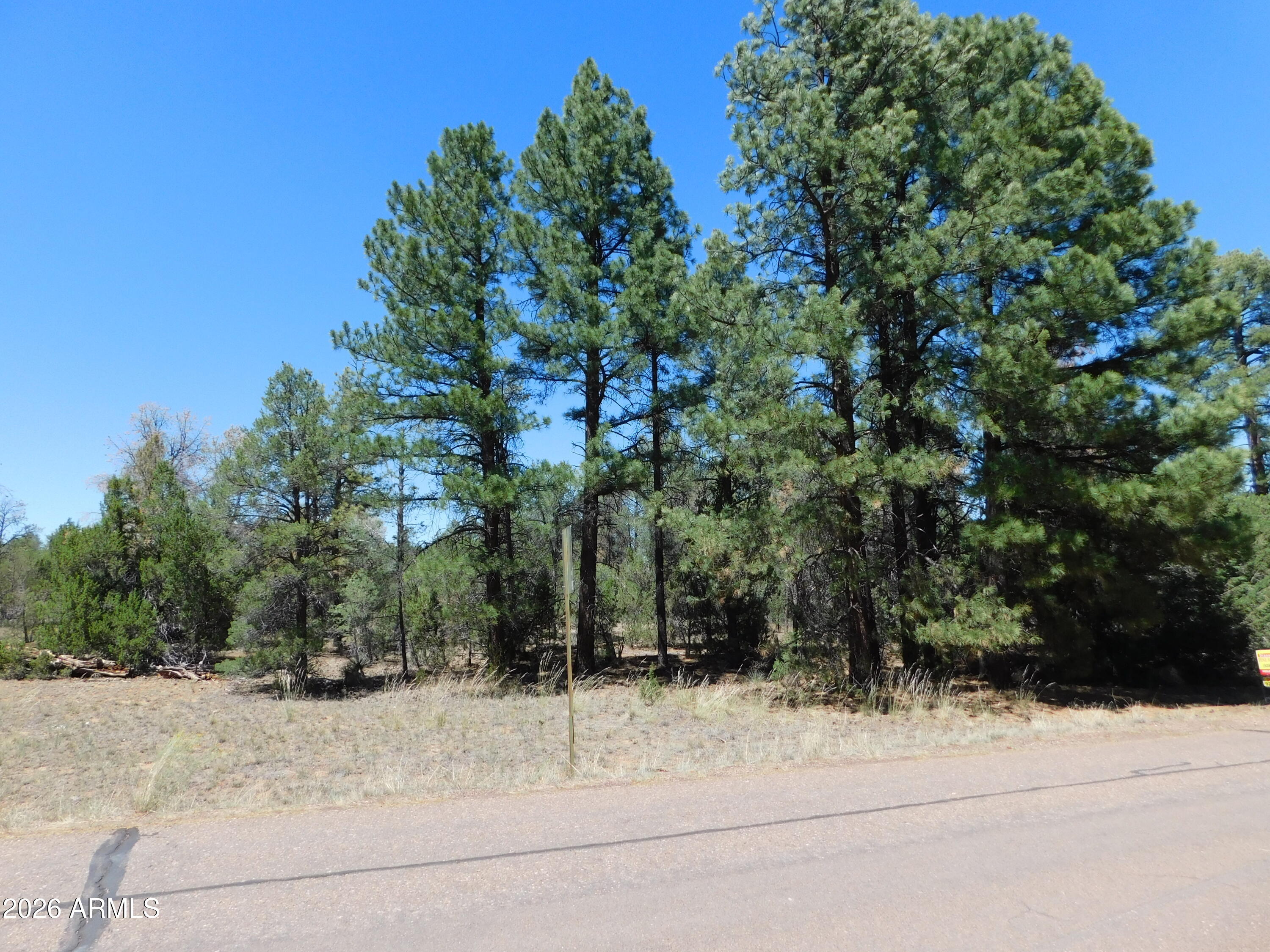 PINELAND ACRES - Land