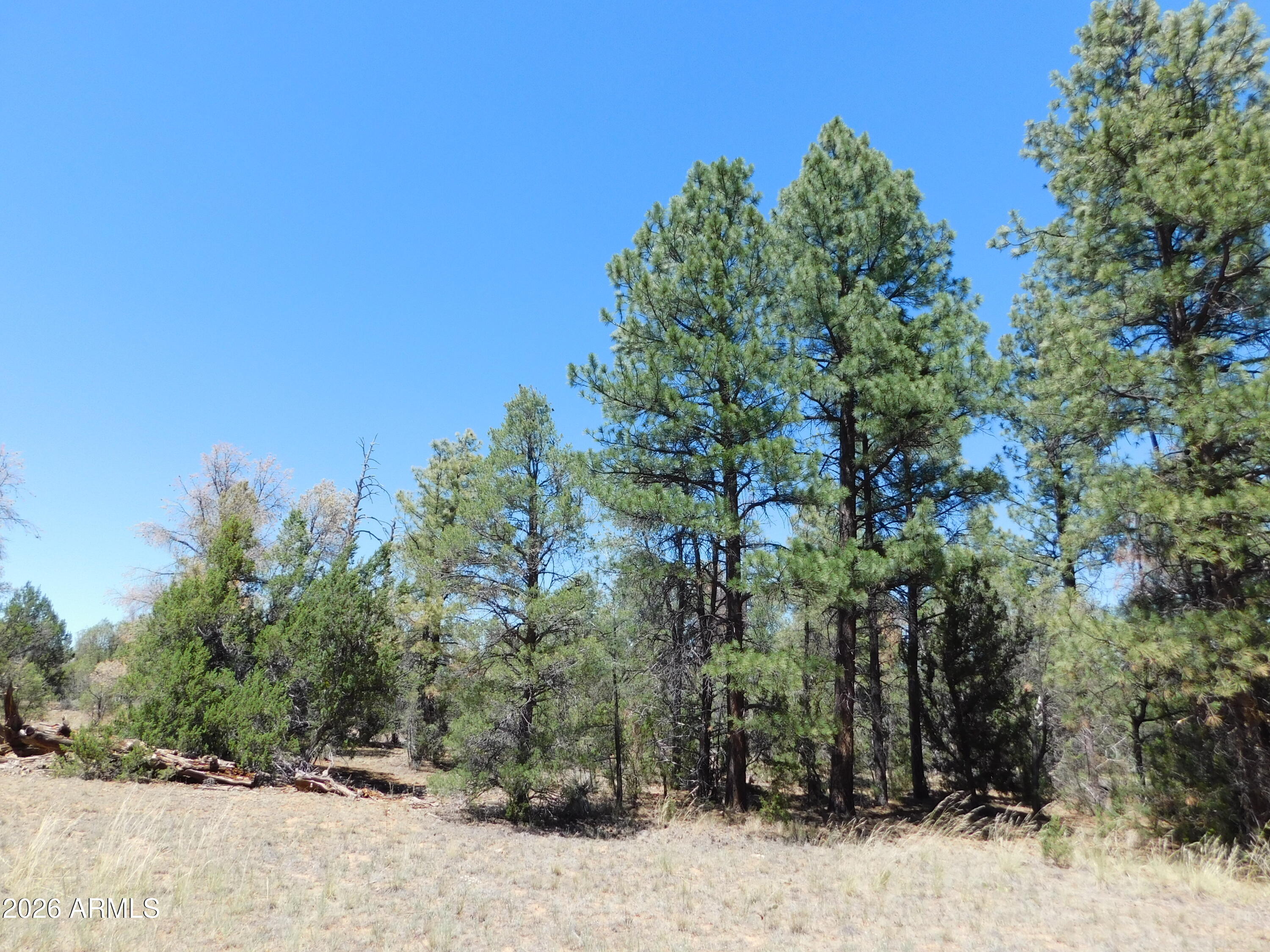 Build Your Dream Mountain Retreat! Nestled among towering tall pines, this beautiful 1.19-acre corner parcel at Pinewood and Mogollon offers the perfect setting for your custom home or weekend getaway. The property is nicely treed, providing privacy, shade, and the peaceful mountain atmosphere you've been searching for. Enjoy the freedom of no HOA, giving you flexibility to build and enjoy your property your way. Don't miss this opportunity to own a spacious, scenic homesite in Arizona's cool country!