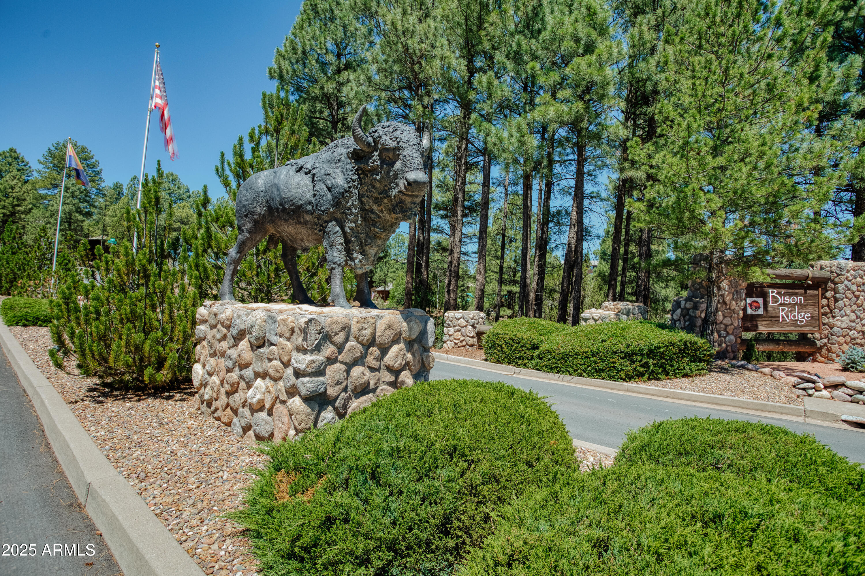 Bison Ridge - Residential