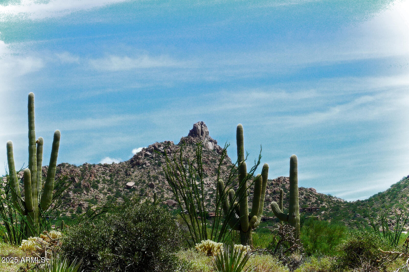 Pinnacle Canyon at Troon North - Residential