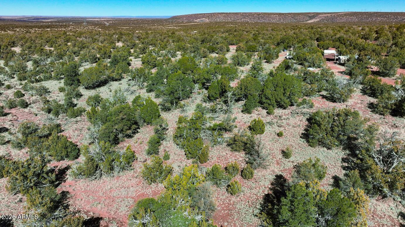 Enjoy panoramic views and privacy on this heavily treed property. The seller has just had a road installed to give physical access to high clearance vehicles. All the privacy you could want. yet such a very short drive to all the amenities of downtown Williams and only an additional 15-minute drive to Flagstaff. SELLER FINANCING AVAILABLE
