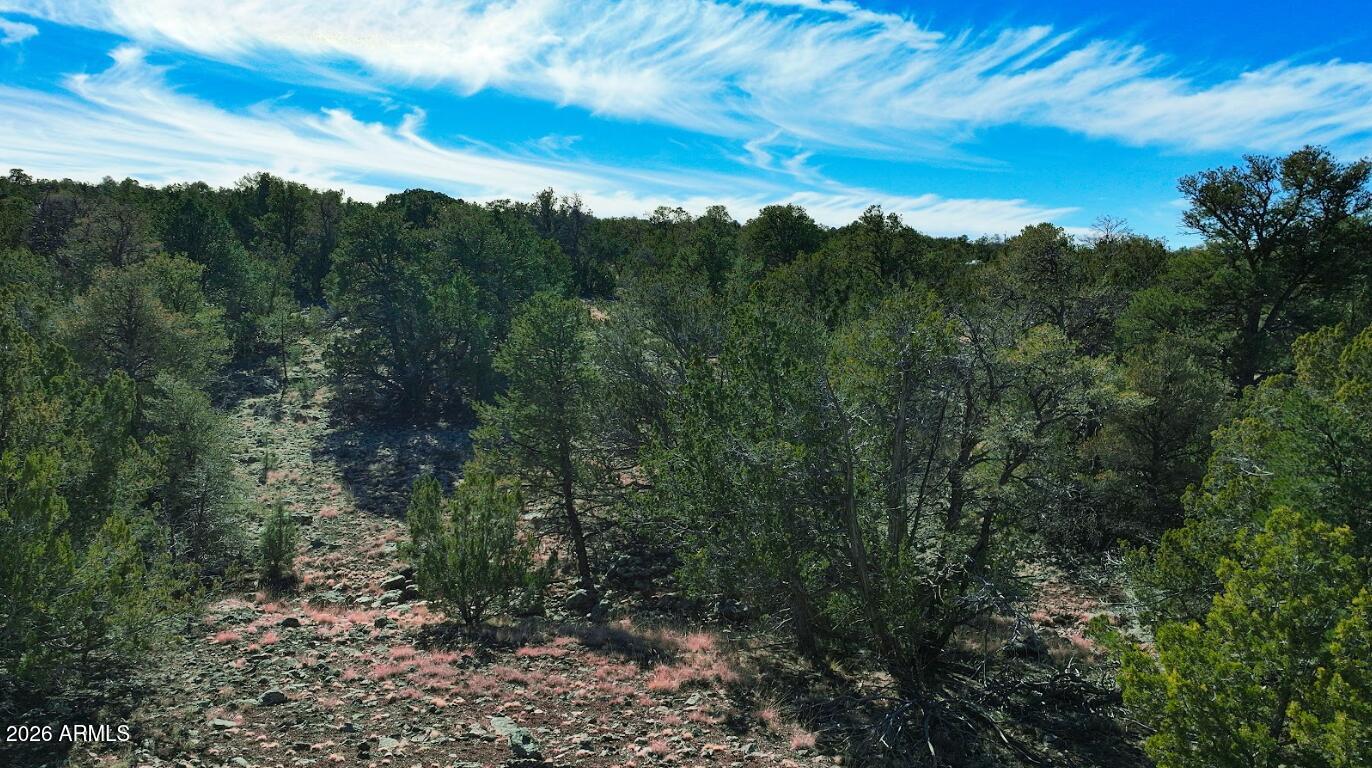 KAIBAB HIGH 2 - Land